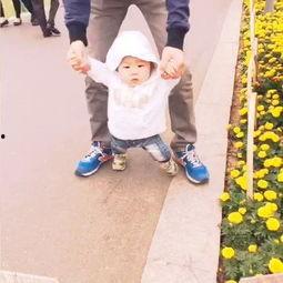 沈梦婷网红,网络红人崛起之路与影响力解析